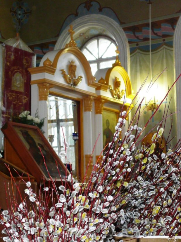 Всенощное Бдение в Неделю Цветоносную в Троекуровском Свято-Димитриевском Иларионовском монастыре